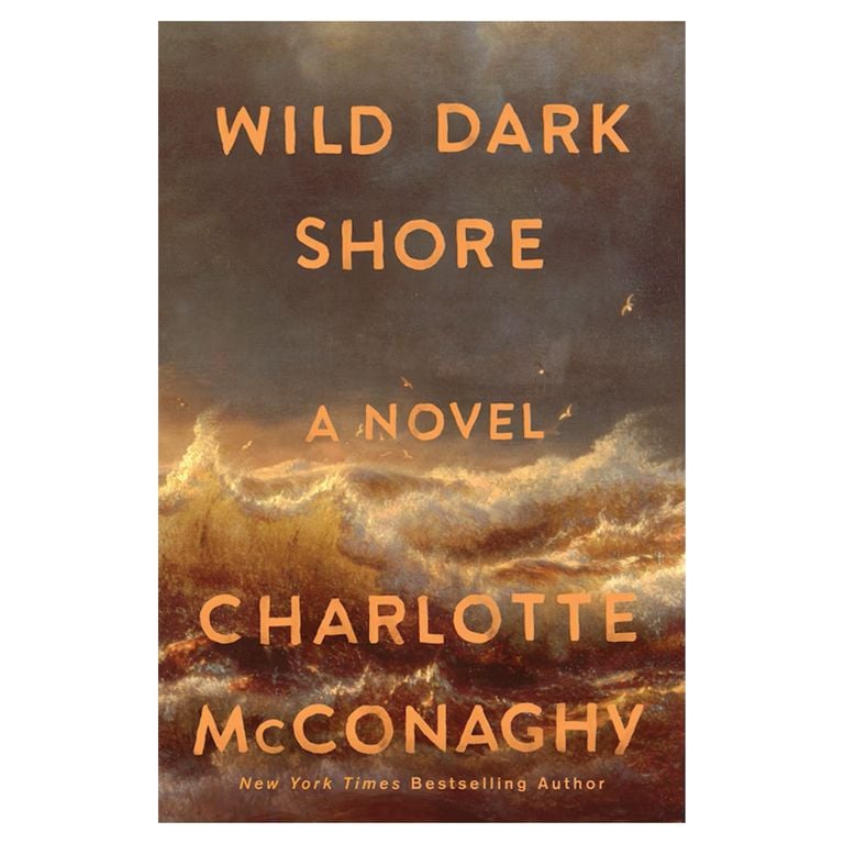 Wild Dark Shore by Charlotte McConaghy