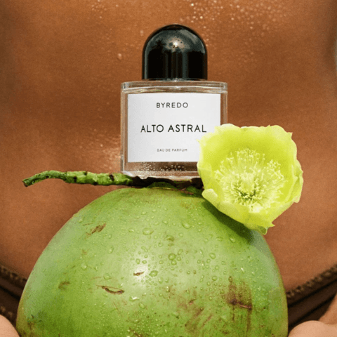 The New Beauty Launches the FASHION Team Loved in August