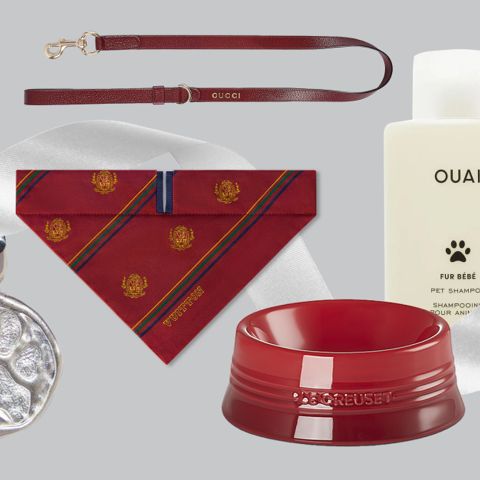 The Best Gifts for Pet Lovers and Their Furry Friends