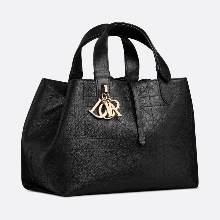 Dior Medium Toujours Bag