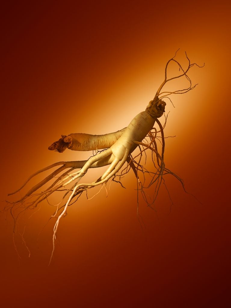 Sulwhasoo Concentrated Ginseng Rejuvenating Cream: Ginsenomics™, a patented ingredient powered by a rare ginseng saponin