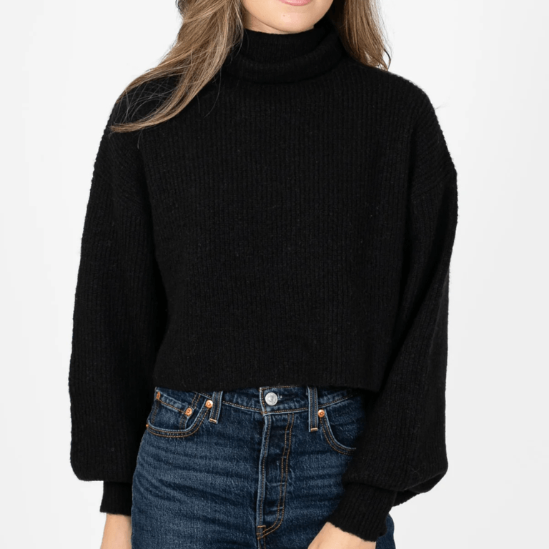 Honey Hilary Knit Turtleneck Sweater