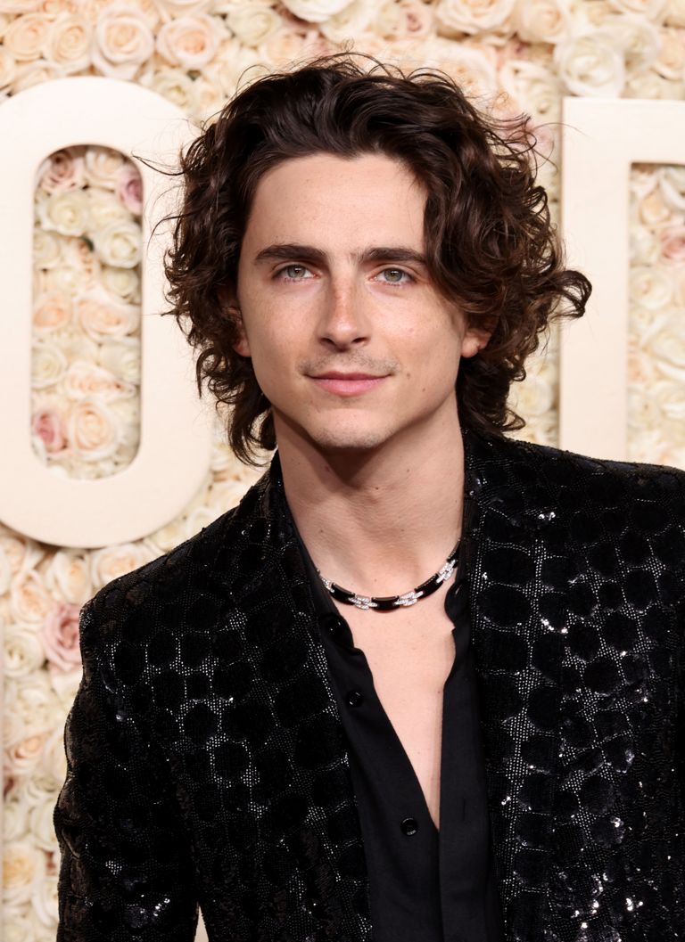 men's jewellery, family heirlooms: timothee chalamet