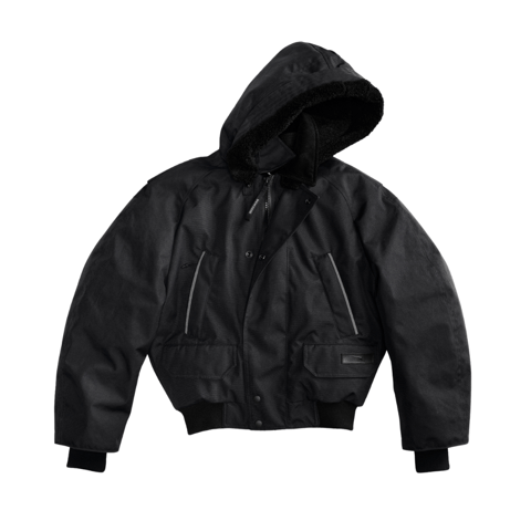 Snow Goose by Canada Goose Drop 2