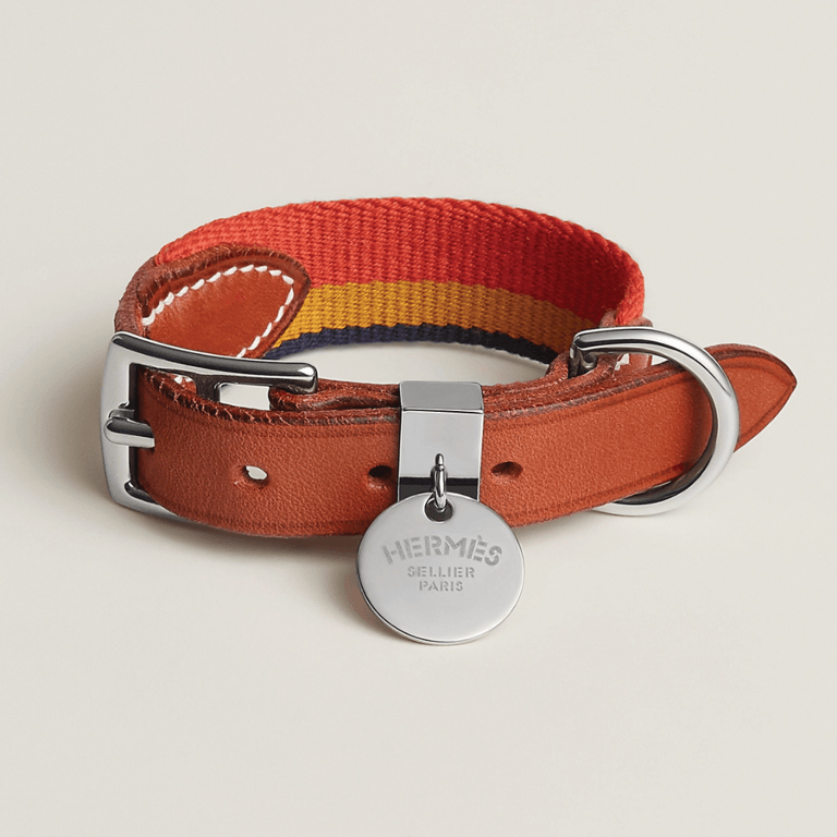 Hermès Tresse Dog Collar