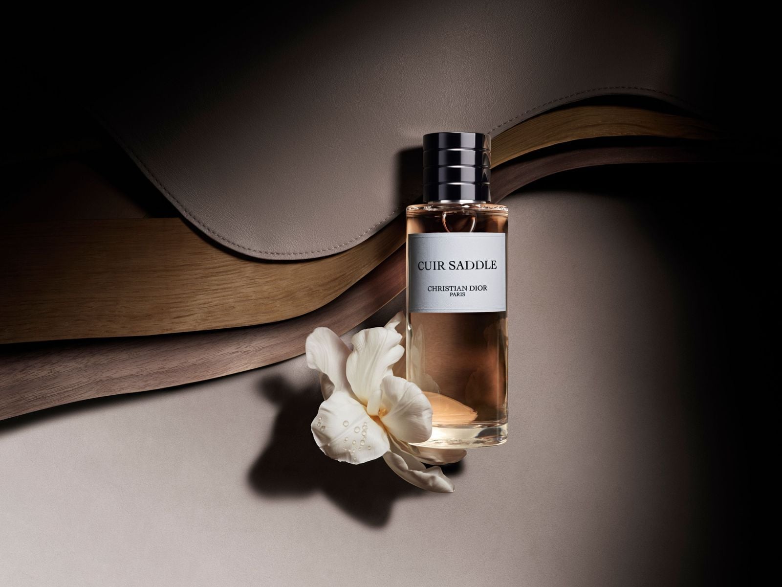 CUIR SADDLE Eau de Parfum 100ml 新品 Dior Cuir Saddle: A Modern Leather Fragrance by Francis Kurkdjian