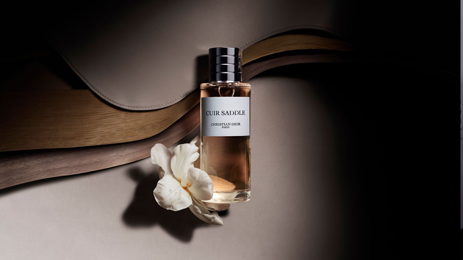 dior-cuir-saddle-.jpg