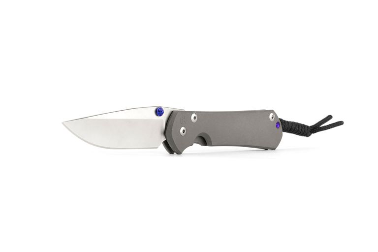 The Sebenza 31 knife
