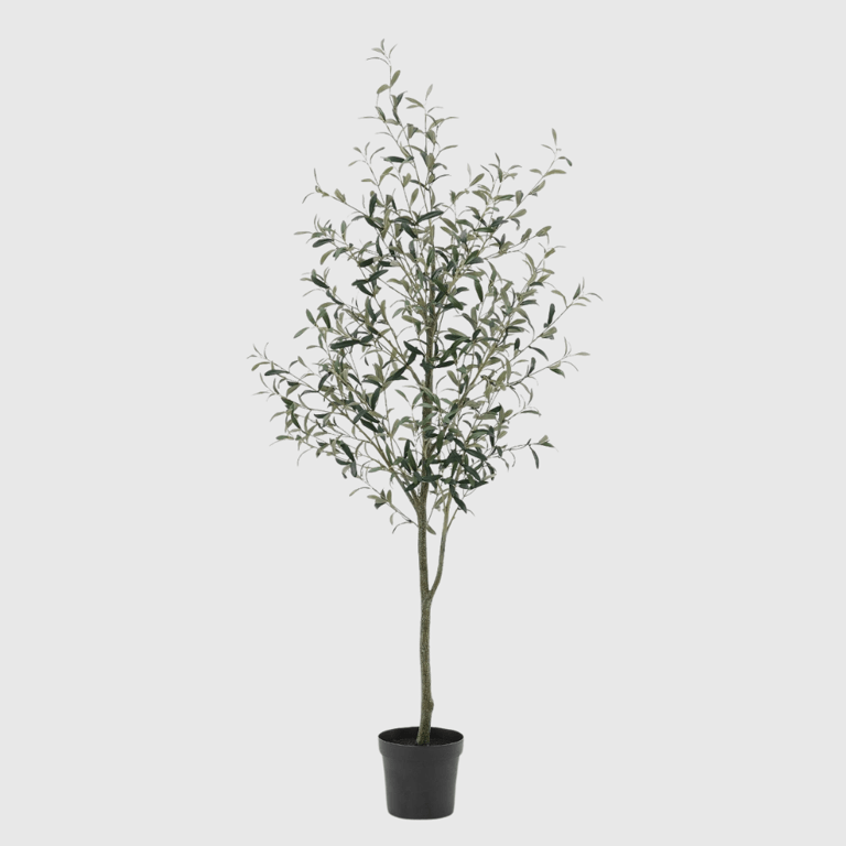 Pottery Barn Faux Olive Tree