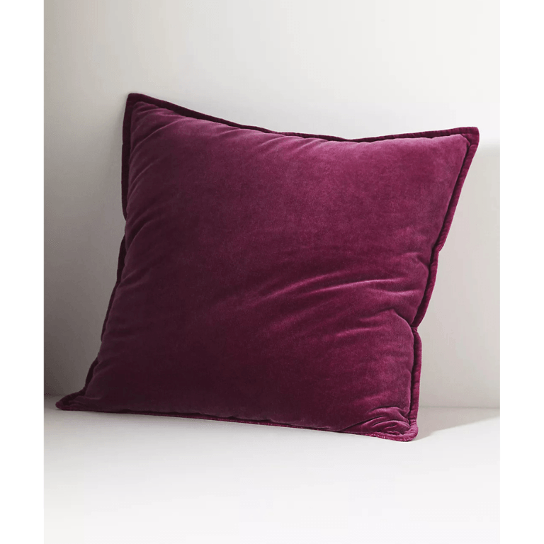 Anthropologie Velvet Trova Pillow