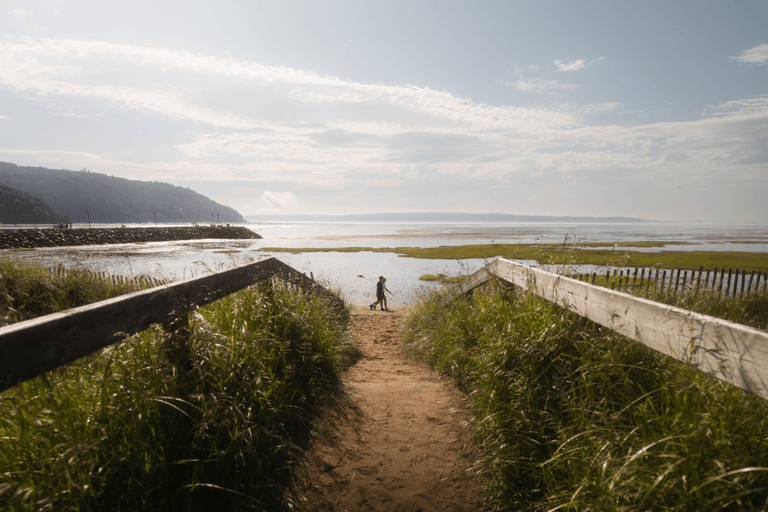 A trail surrounded by grass leads to the river.