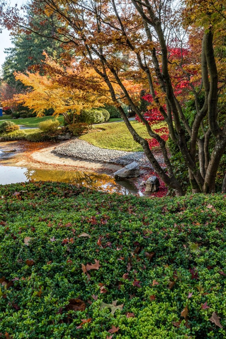 photo of Hastings Park