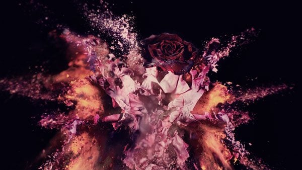 Roses by Exhibit Luminato Dusan Reljin for Lancôme