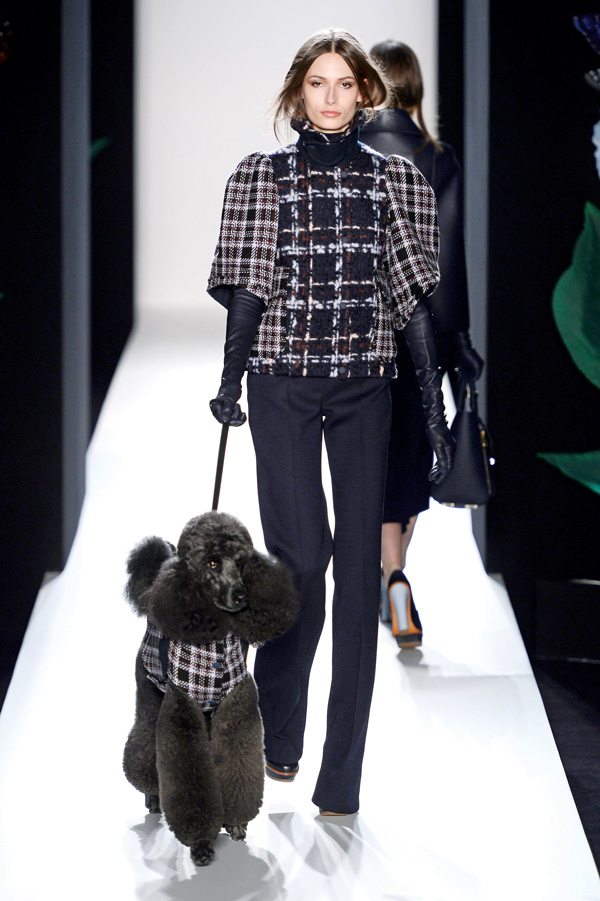 Mulberry Fall 2013