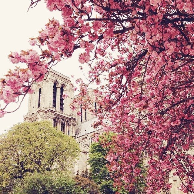 How to take the best Instagram