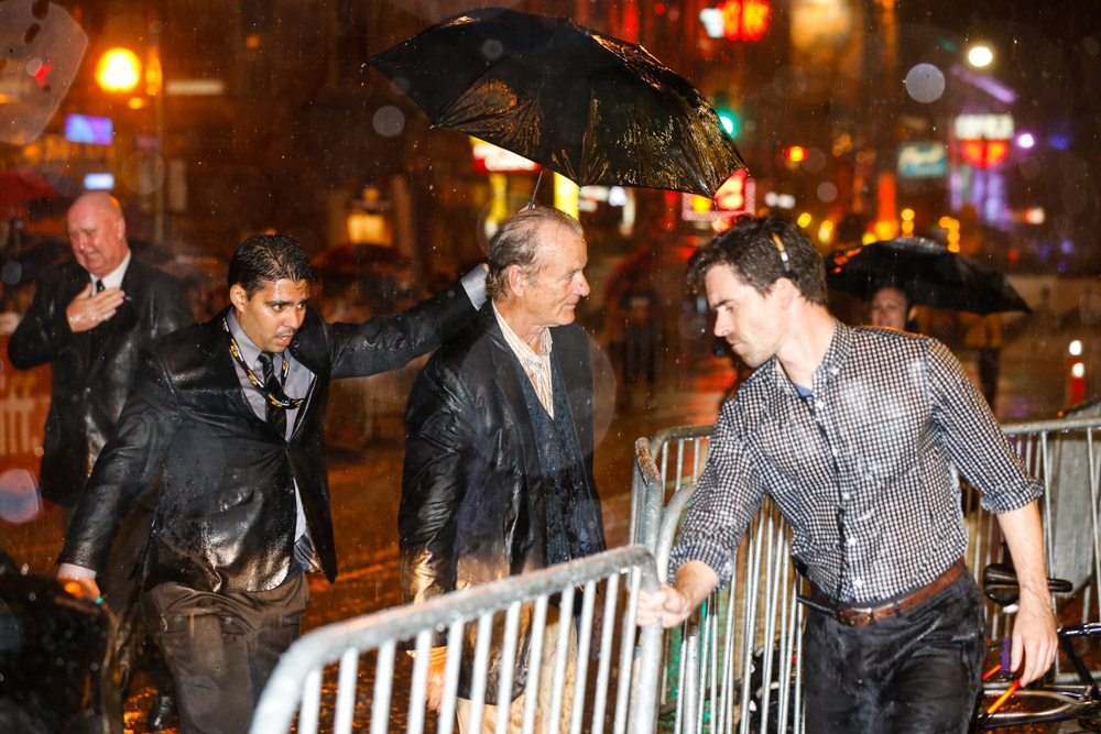 tiff 2014 st vincent red carpet