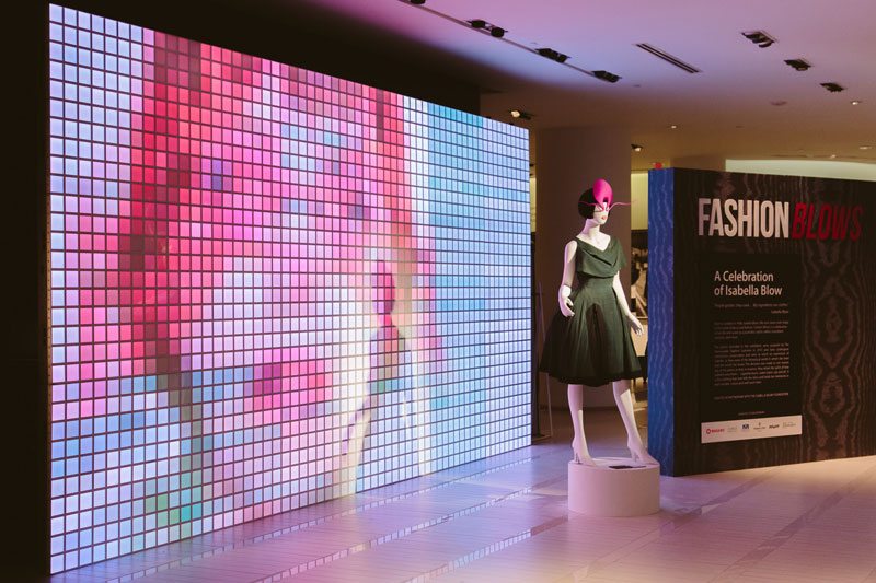isabella blow toronto