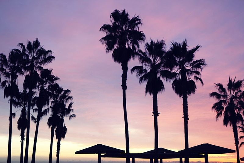 Street Style Los Angeles
