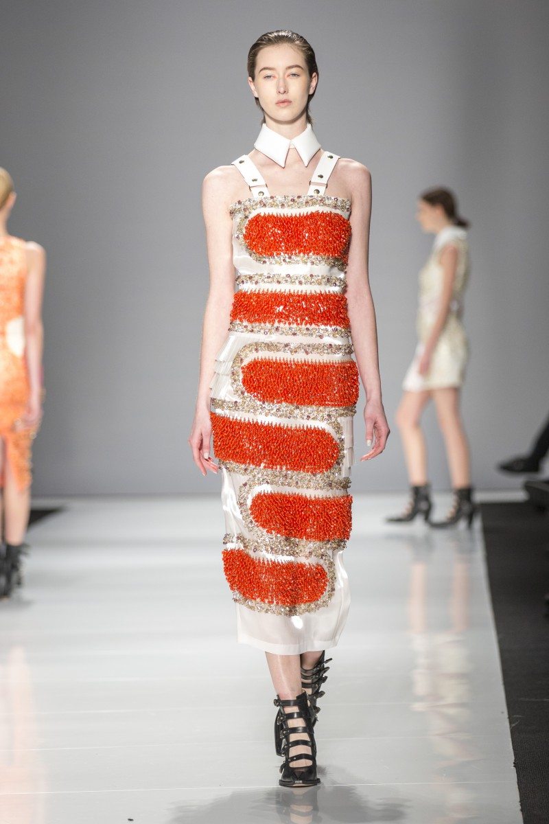 Mikhael Kale Fall 2015