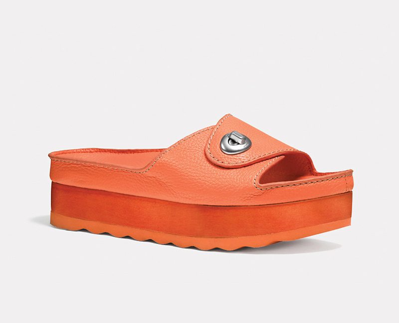 Shoes Bag Spring 2015