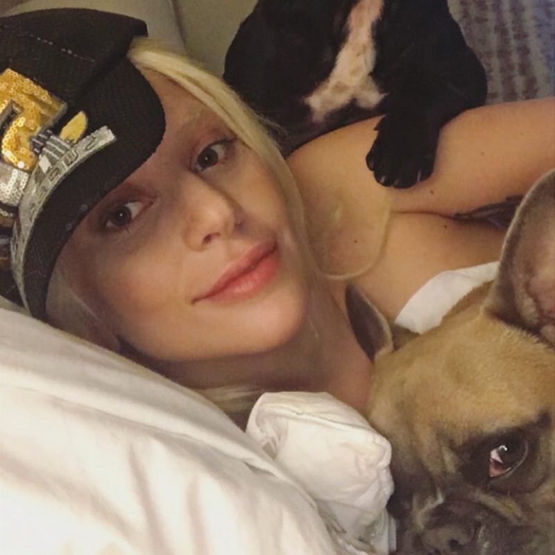celebrities-dogs-pets-national-dog-day-01