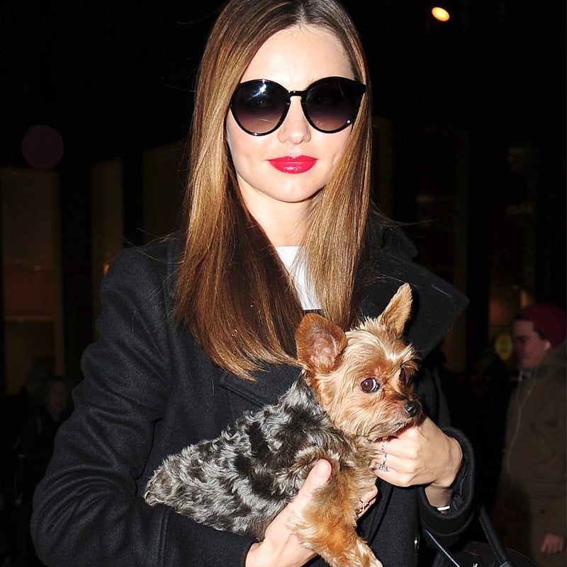 celebrities-dogs-pets-national-dog-day-03