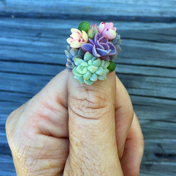 succulent nails