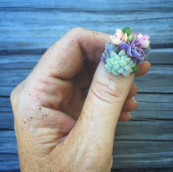 succulent nails