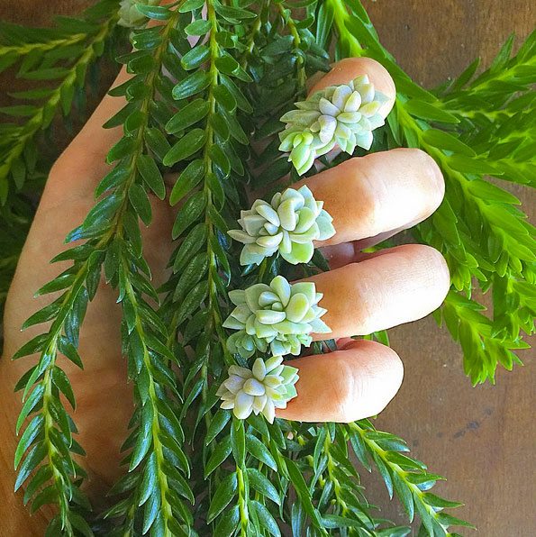 succulent nails