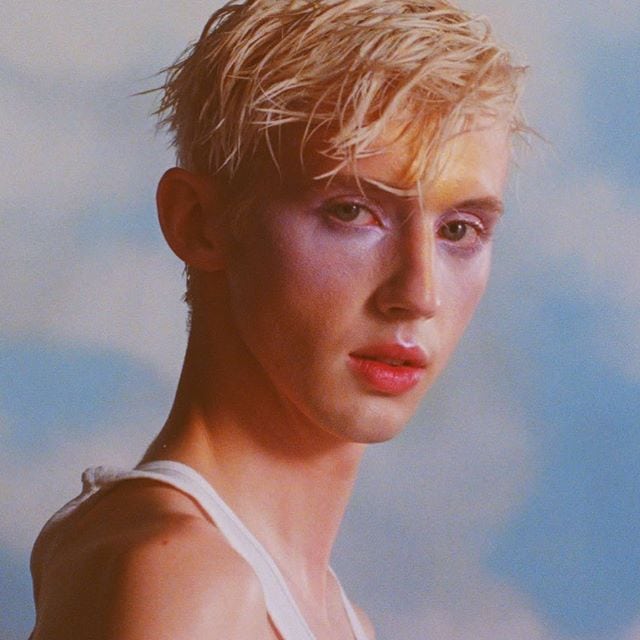 BLOOM BOOK Troye Sivan トロイシヴァン　海外　洋楽　写真集 We Chat With Troye Sivan About The Release of His Brand New Album