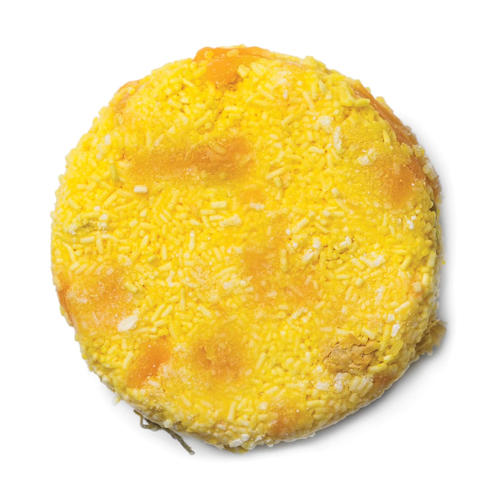 shampoo bar