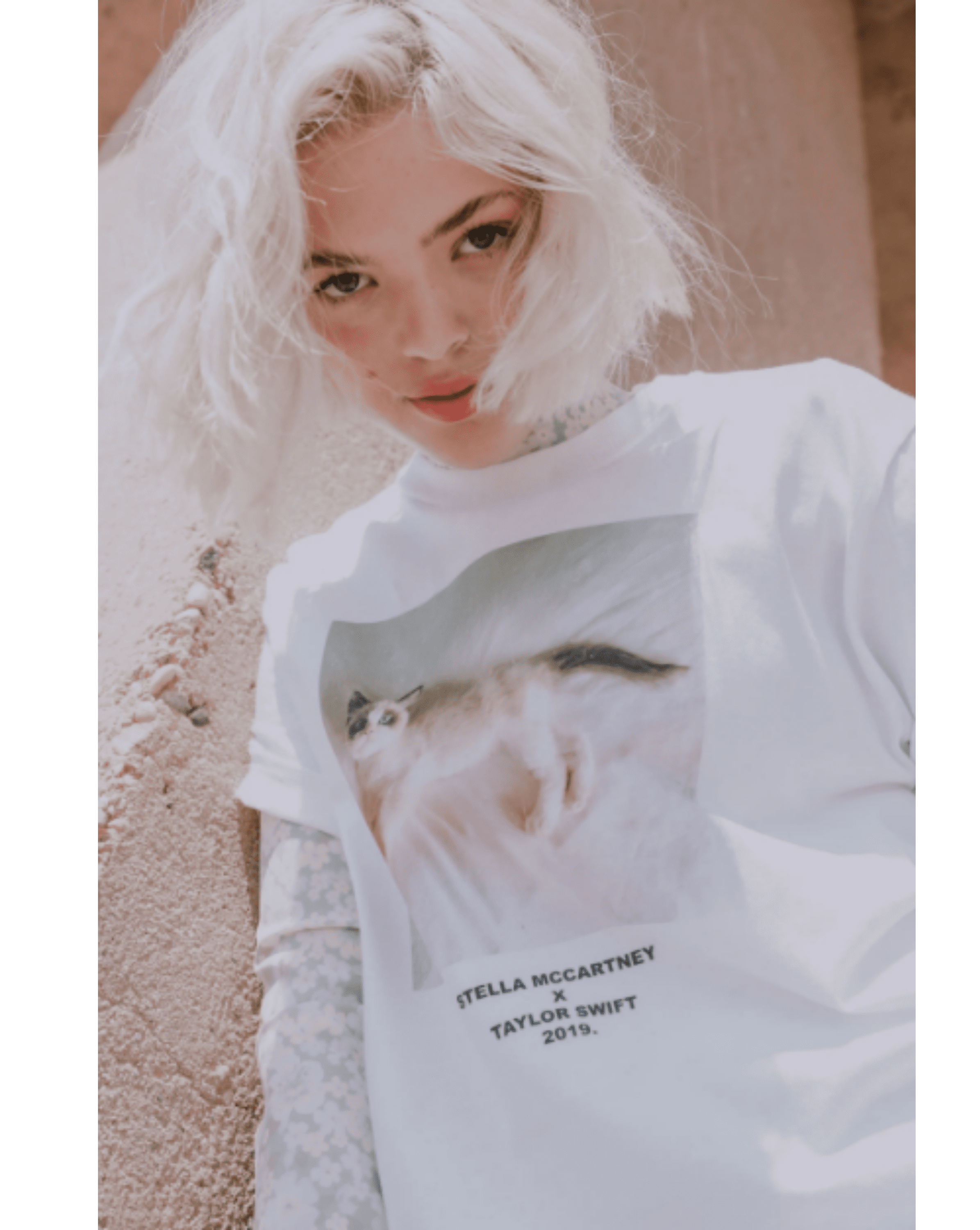 taylor swift lover merch