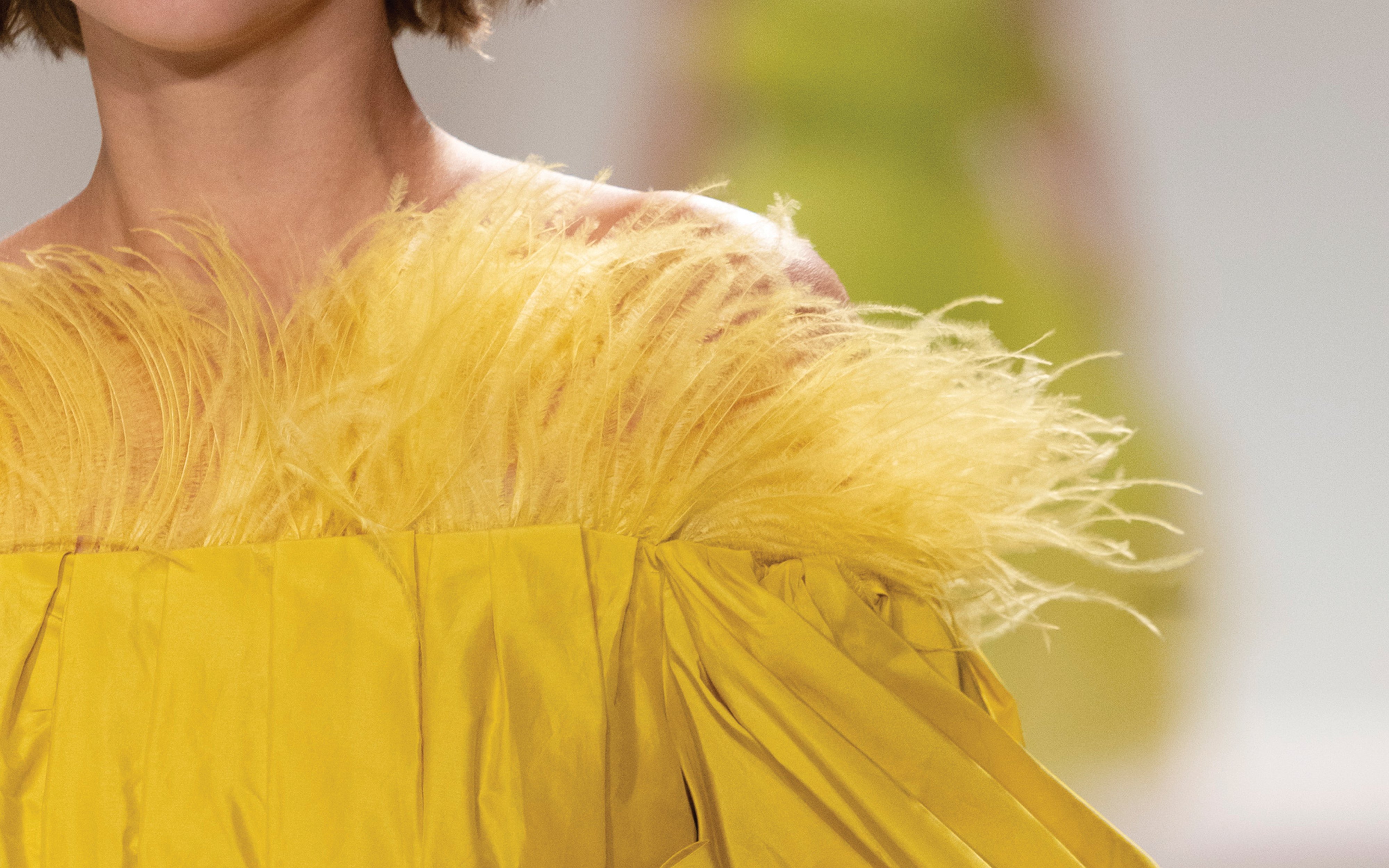 Feather Fashionista Are feathers ethical? The truth behind the cruel fashion  main image 3