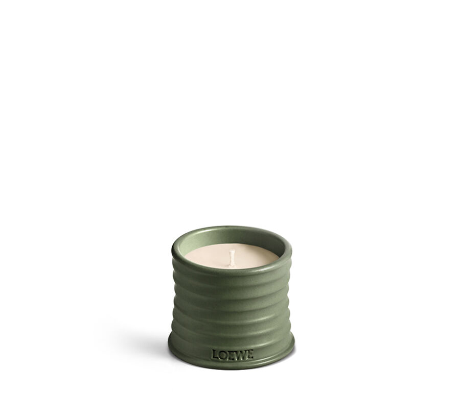 spring cannabis accessories