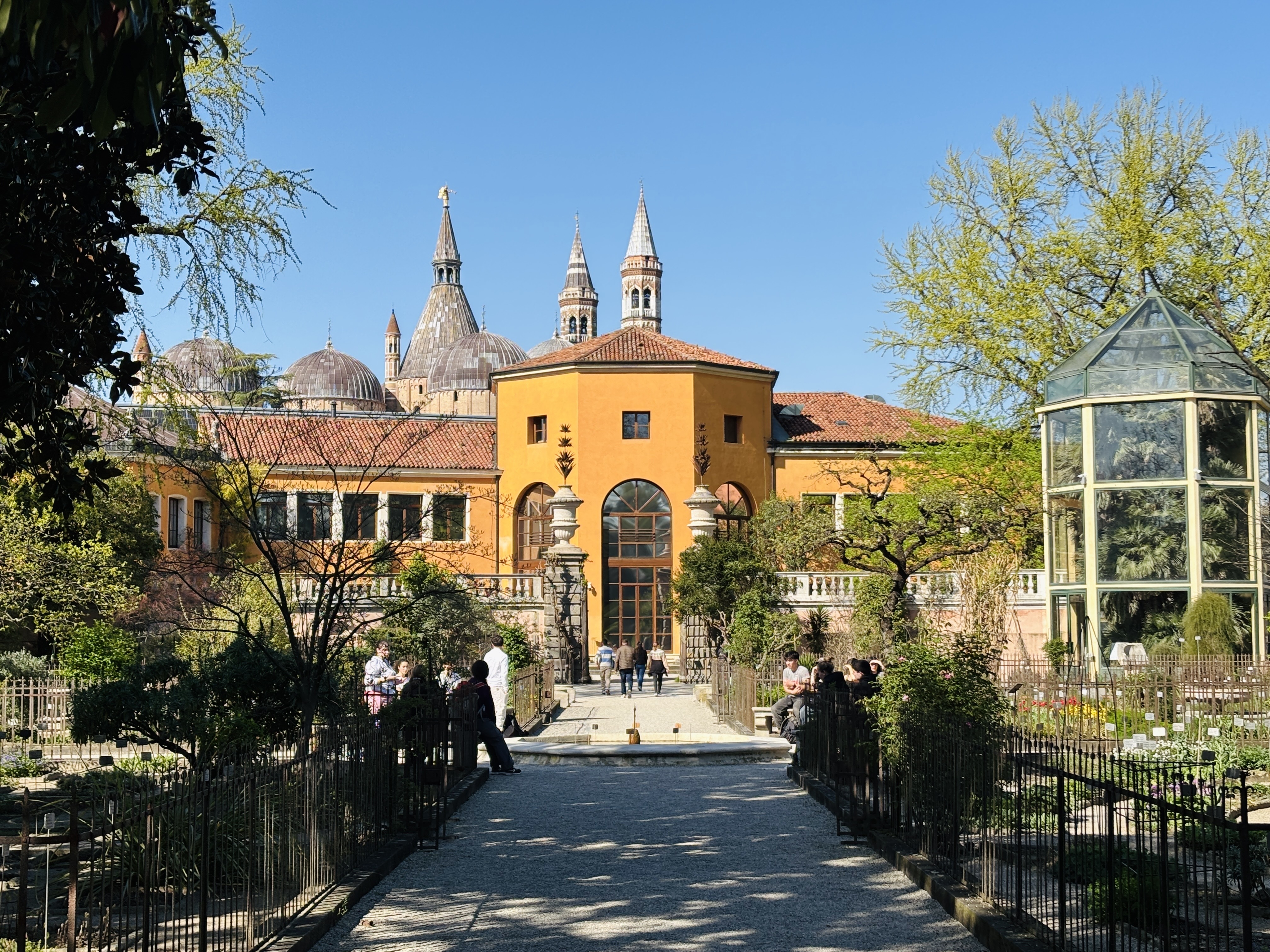 Padua, italy itinerary: University of Padua Botanical Garden