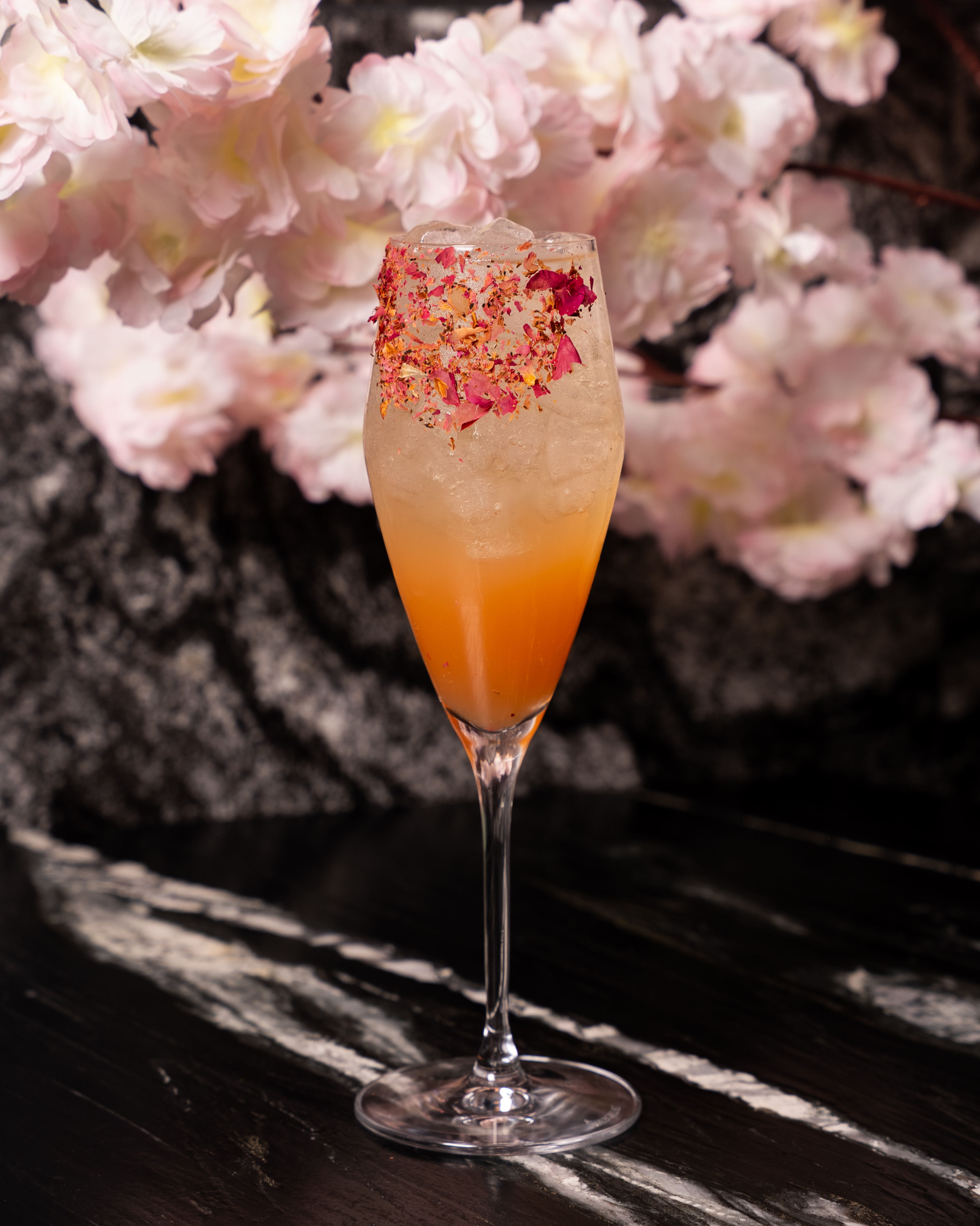 sakura bliss akira back toronto