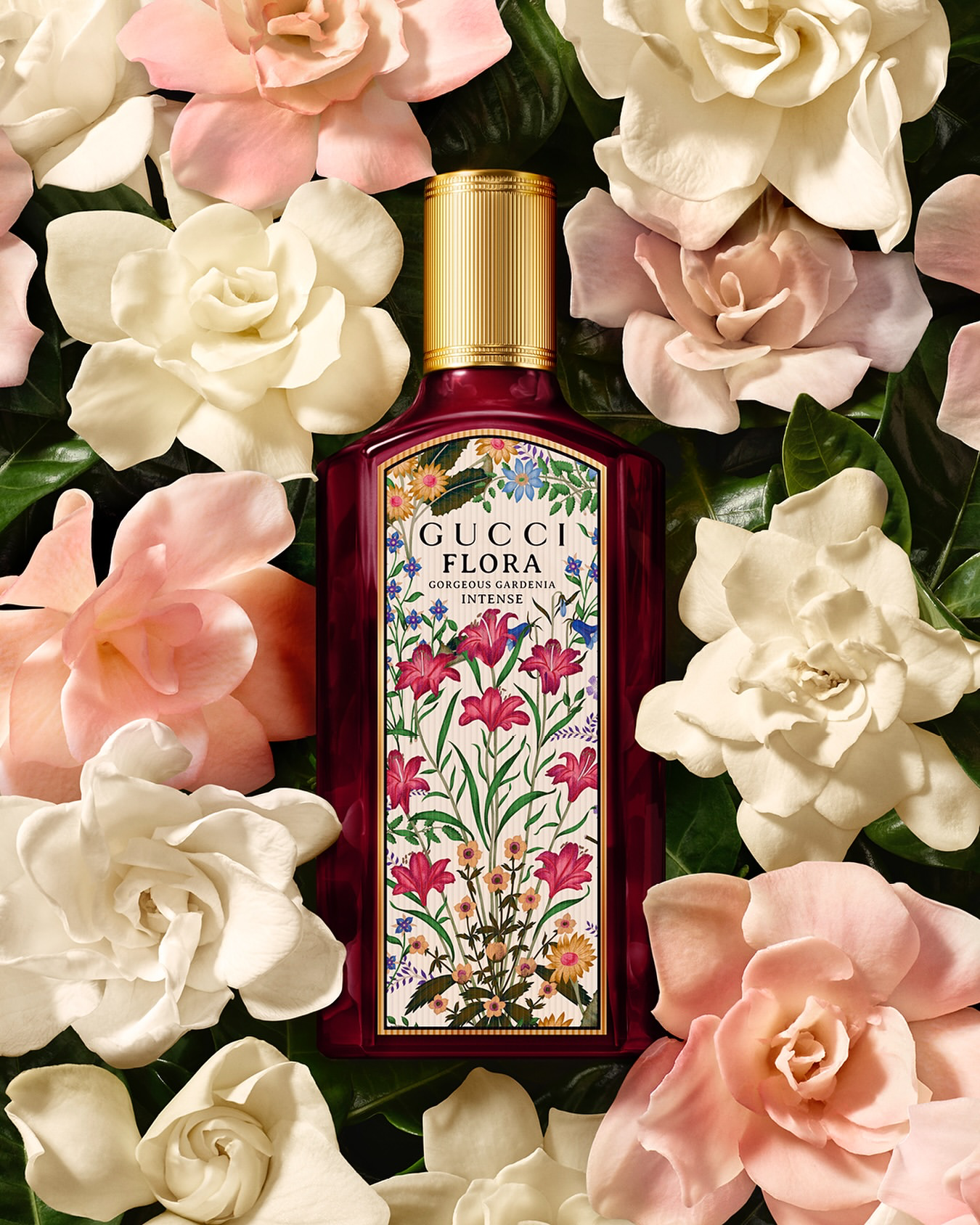 gucci gorgeous gardenia intense
