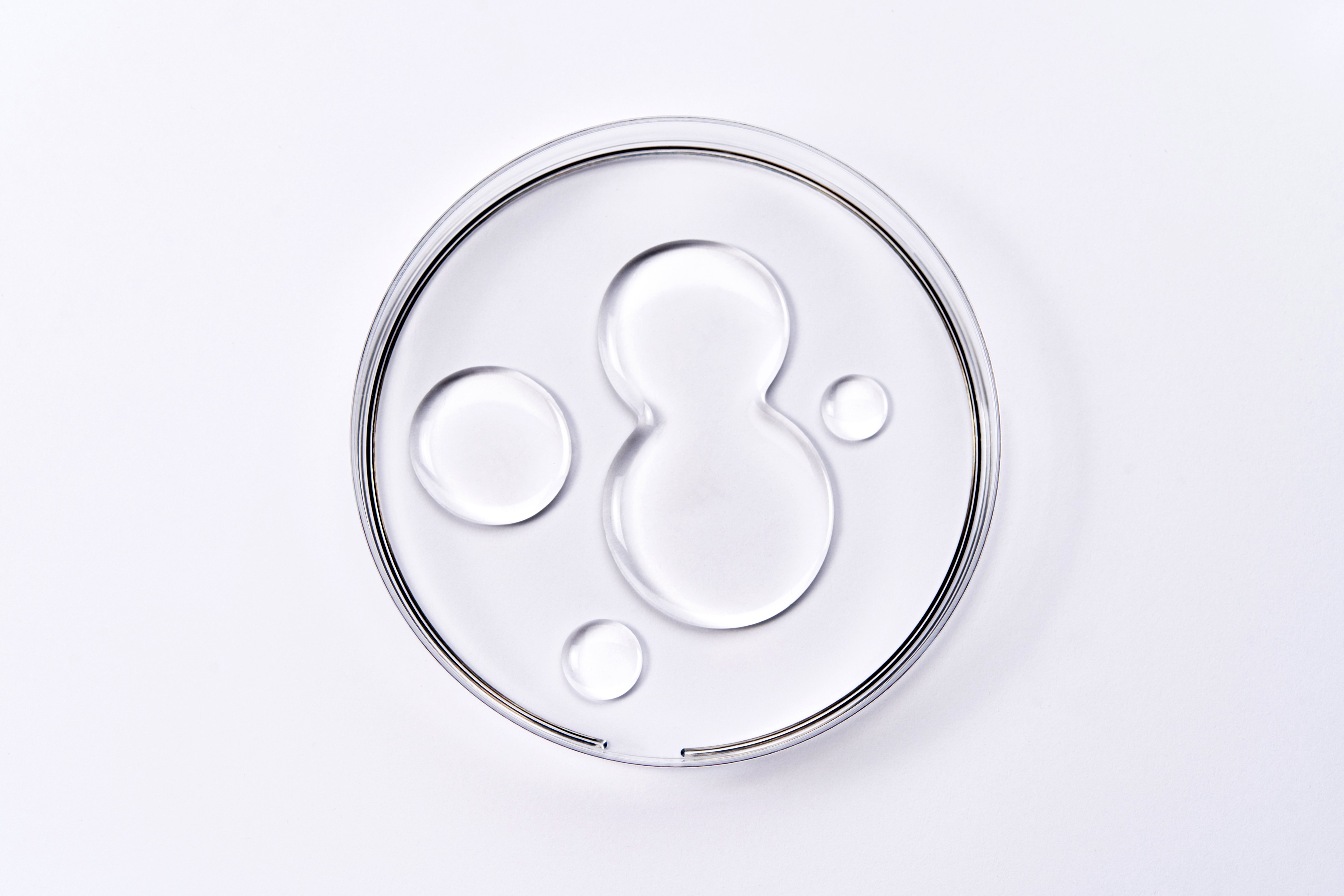 Stem cell beauty, PRP, exosome: Samples of gel in Petri dish on white background.