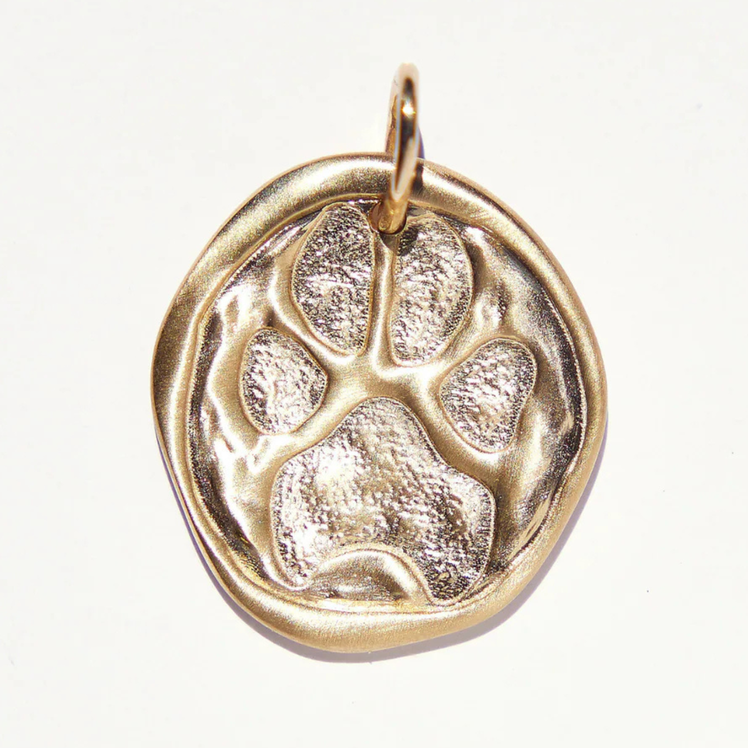 Hound House x Jared Brown Designs Paws for a Cause Medallion  