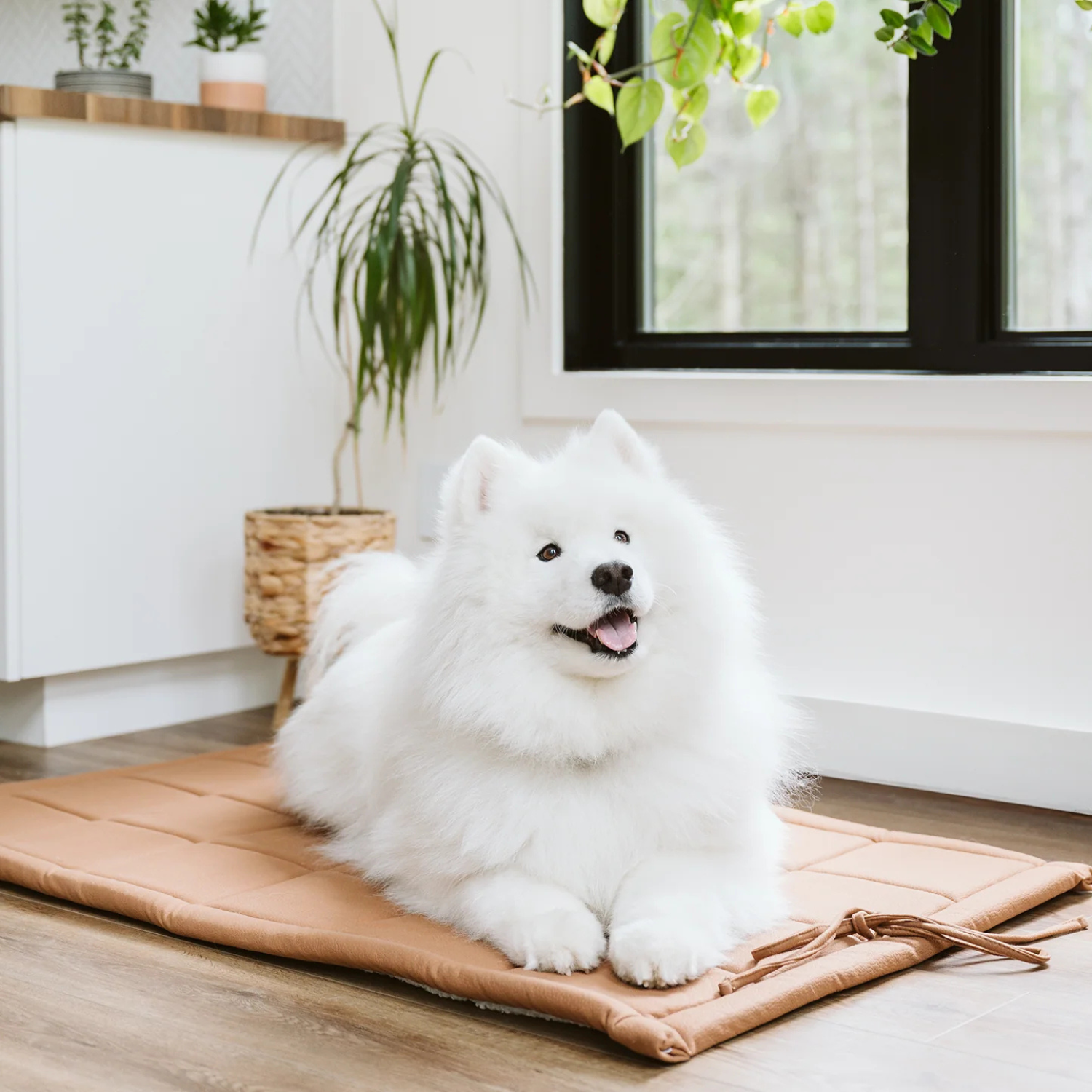 BeOneBreed Reversible Luxury Mat