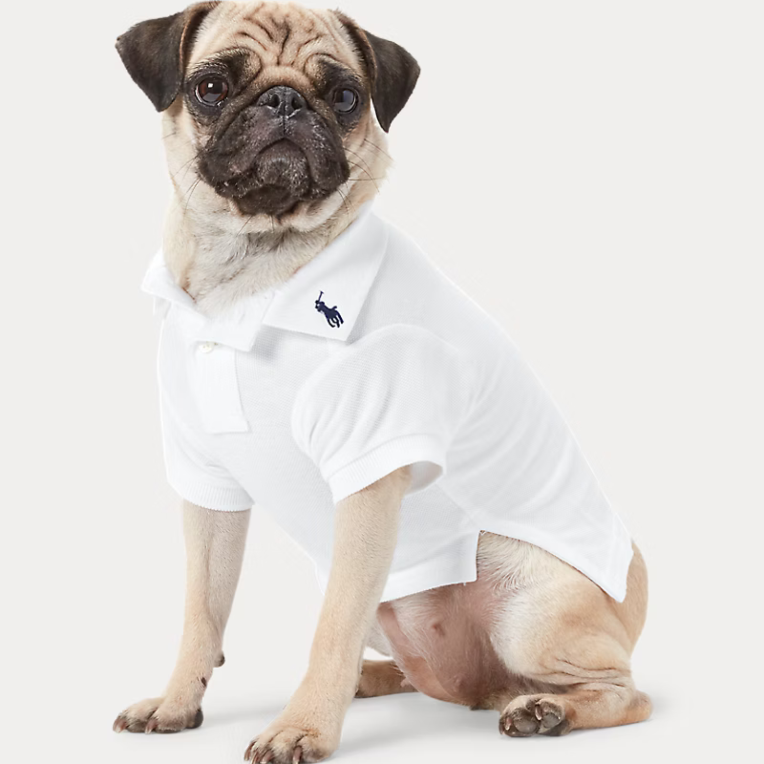 Ralph Lauren Polo Shirt