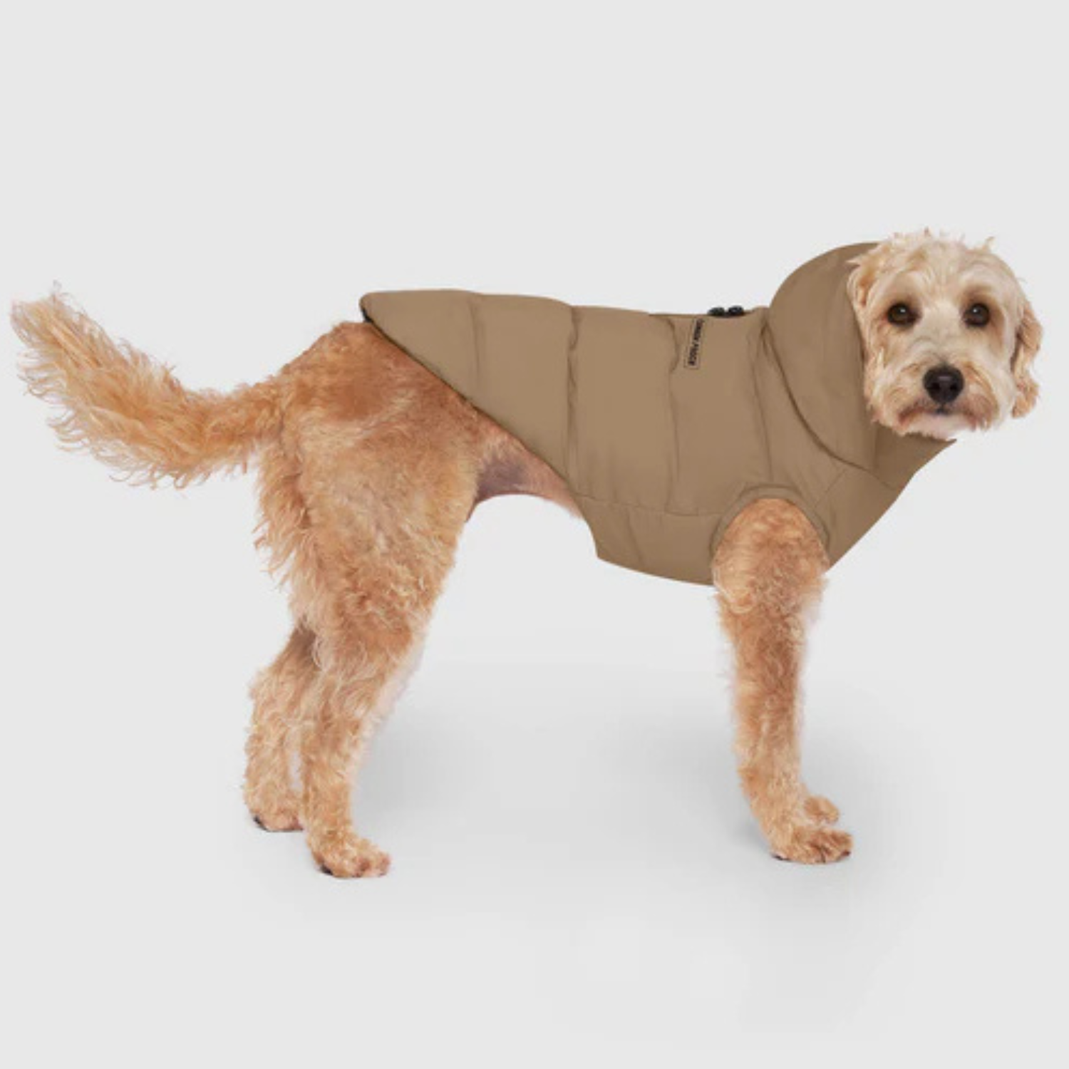 Canada Pooch Waterproof Puffer