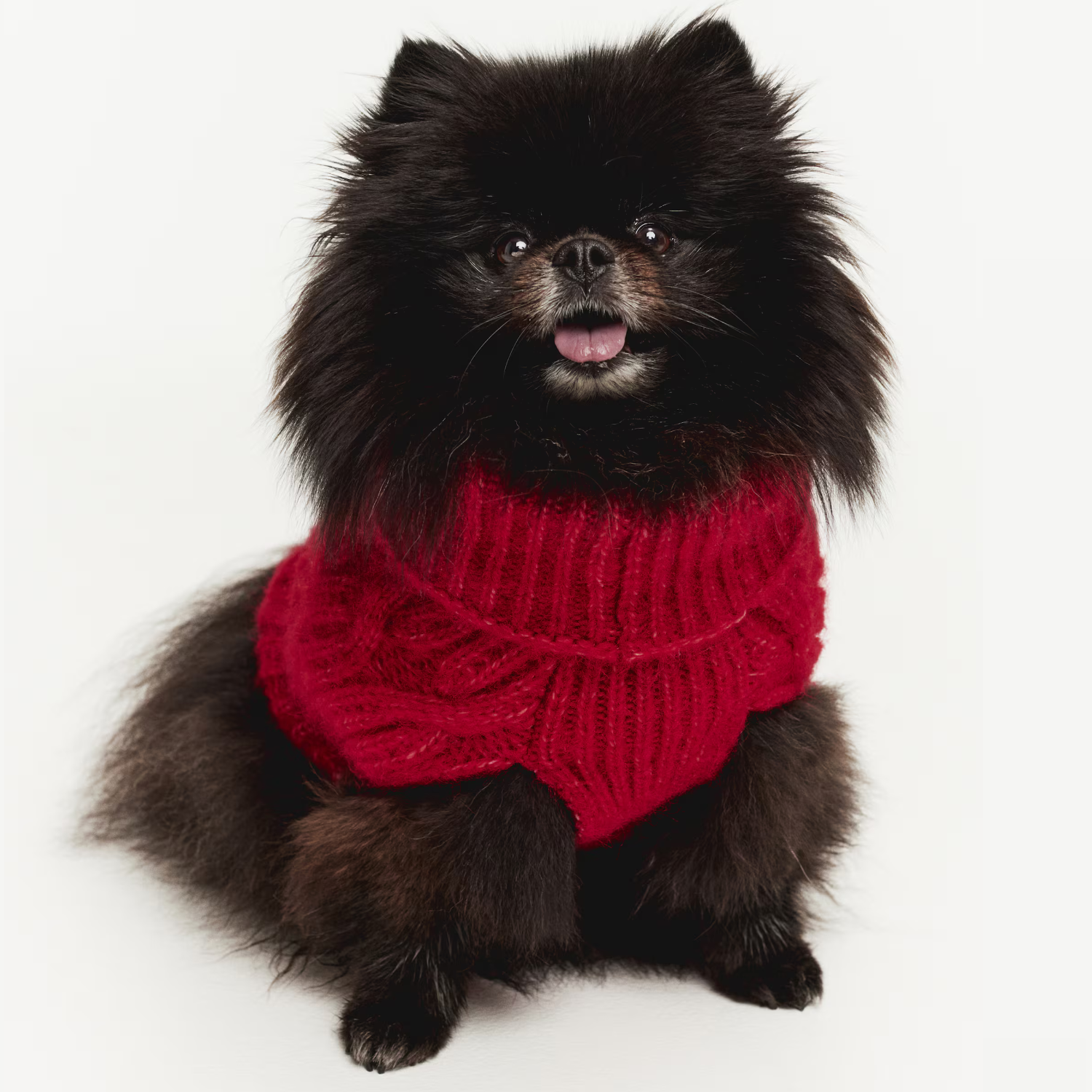 H&M Cable-Knit Sweater 