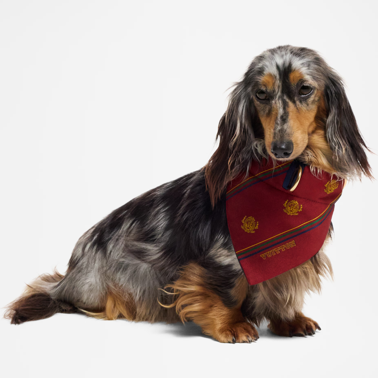 Louis Vuitton Dog Bandana 