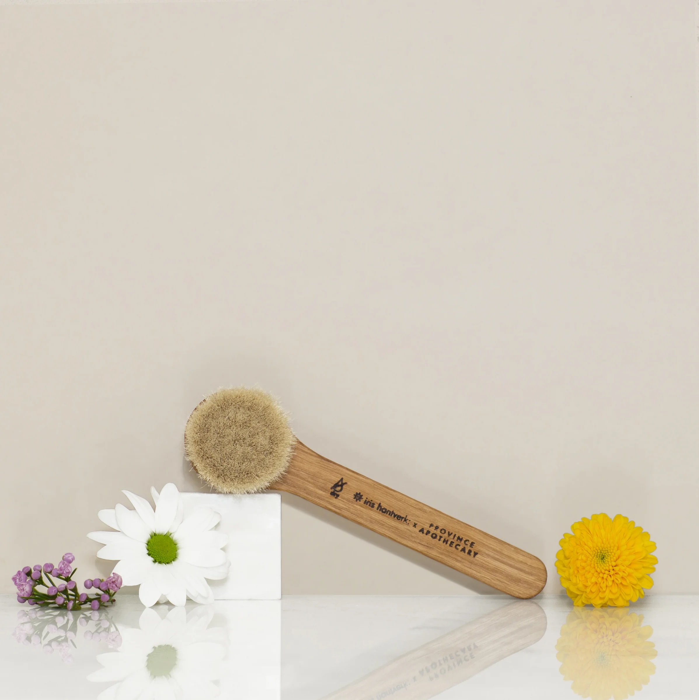  best wellness gifts: Province Apothecary brush 